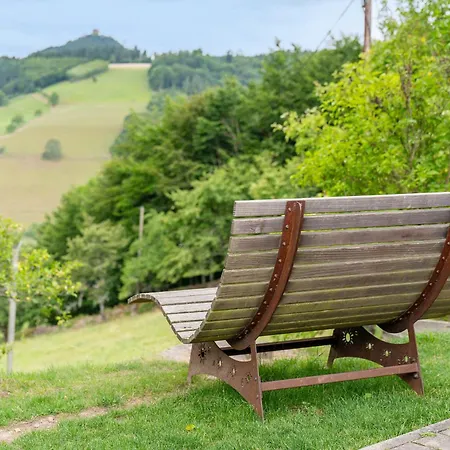 Burgblick Апартаменты Biberach (Baden)