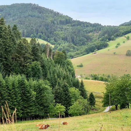 Burgblick * Biberach (Baden)